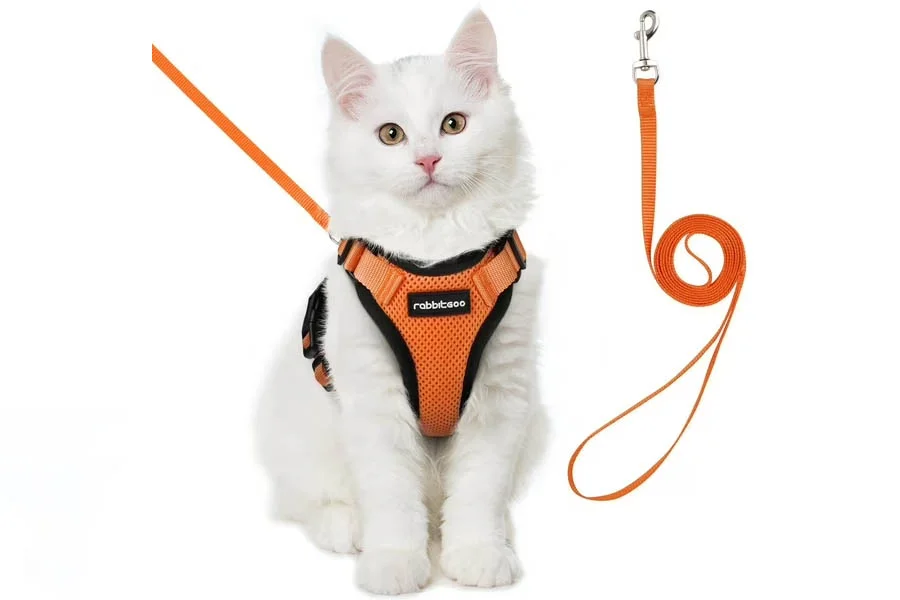 Adjustable Kitten Harness