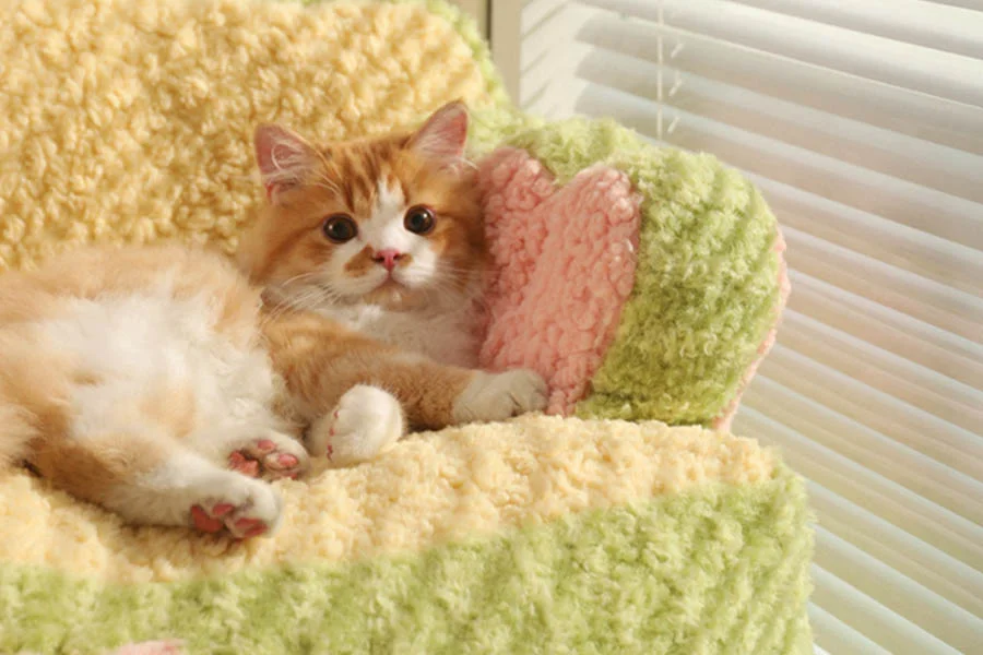 Winter pet bed for cats